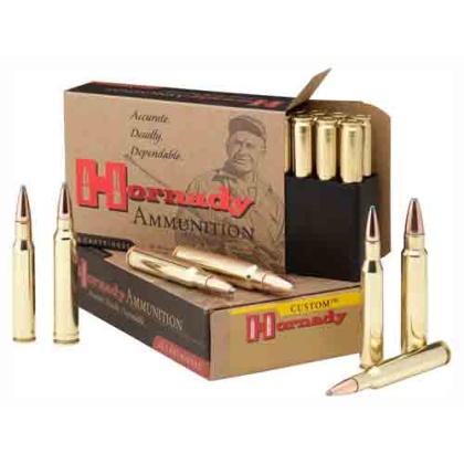 Hornady Ammo .375 Ruger - 270gr. Jsp 20-pack