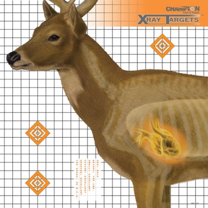 CHAMPION X-RAY TARGET DEER 25\