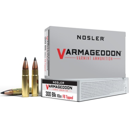 NOSLER VARMAGEDDON 300 AAC 110GR FBT 20RD 10BX/CS