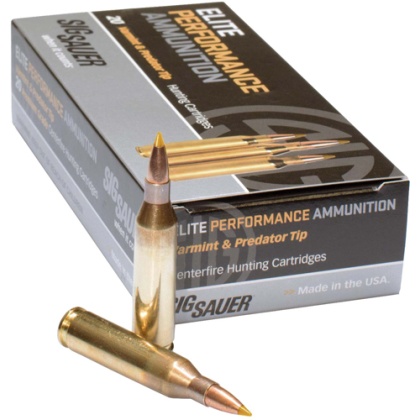 SIG 308 WIN 165GR ELITE TIP 20RD 10BX/CASE