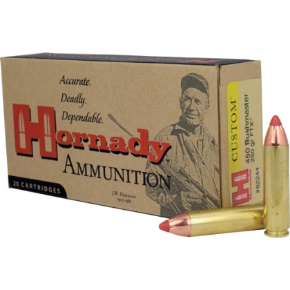 HORNADY 450 BM 250GR FTX 20RD 10BX/CS