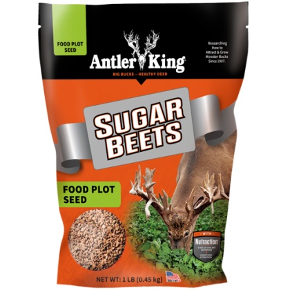 ANTLER KING SUGAR BEETS 1# BAG ANNUAL 1/8 ACRE