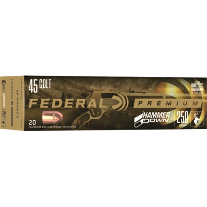 FEDERAL HAMMER DOWN 45 LC 250GR JSP 20RD 10BX/CS