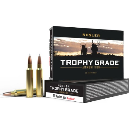 NOSLER TROPHY GRADE 30 NOSLER 180GR ACCUBOND 20RD 10BX/CS