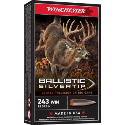 WINCHESTER SUPREME 243 WIN 95GR SILVER-TIP 20RD 10BX/CS