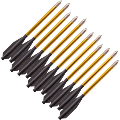 BEAR-X DESIRE CROSSBOW BOLTS 12PK