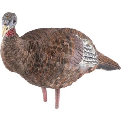 AVIAN X LCD BREEDER HEN DECOY