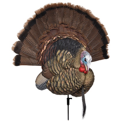 AVIAN X TROPHY TOM DECOY