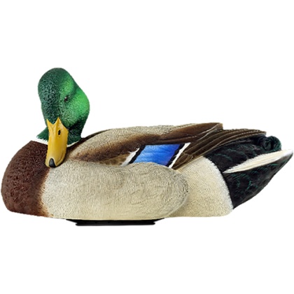 AVIAN X POWER SHAKER MALLARD DRAKE PREENER DECOY