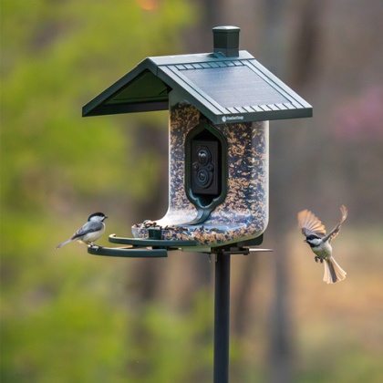 FEATHERSNAP SCOUT BIRDFEEDER WI-FI SOLAR POWERED W/ CAMERA