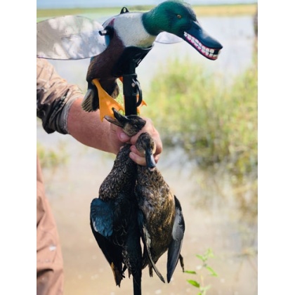 MOJO ELITE SERIES SPOONZILLA MALLARD DRAKE DECOY