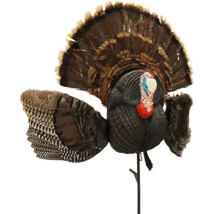 MOJO SCOOT N SHOOT MAX TURKEY DECOY