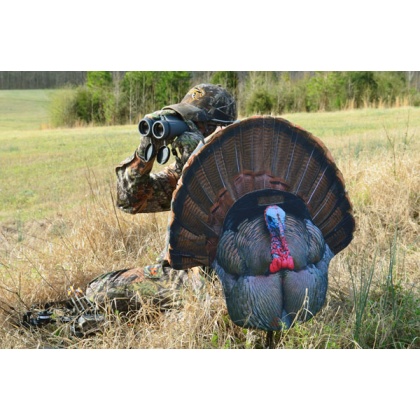 MONTANA DECOY TURKEY GOBBLER FANATIC 2D