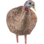 AVIAN X LCD BREEDER HEN DECOY