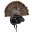 AVIAN X TROPHY TOM DECOY