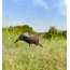 FLEXTONE THUNDER CHICK FEEDING HEN DECOY W/STAKE