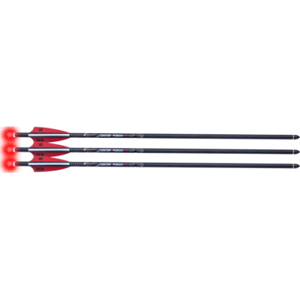 TENPOINT CENTERPUNCH HPX 20" ARROW ALPHA-BLAZE HPX 3PK