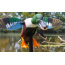 MOJO ELITE SERIES SPOONZILLA MALLARD DRAKE DECOY