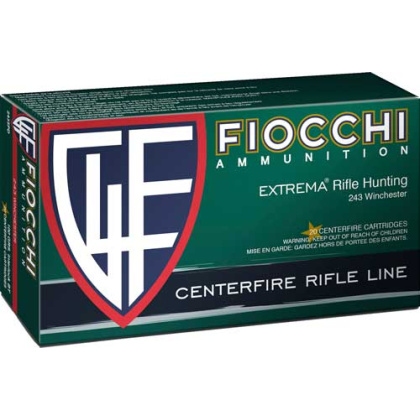 FIOCCHI 243 WIN 100GR PSP 20RD 10BX/CS