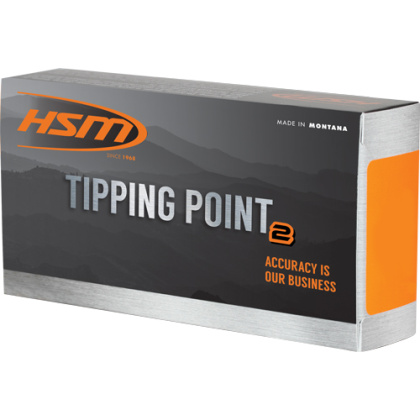HSM 243 WIN 95GR SST 20RD 25BX/CS