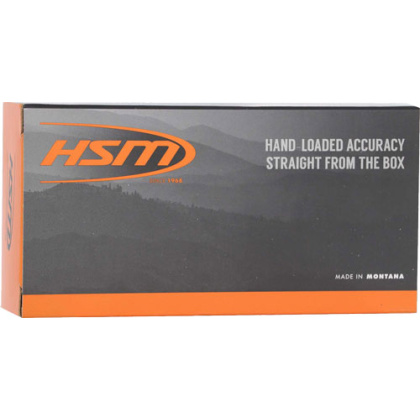 HSM 300 AAC 110GR V-MAX 20RD 25BX/CS