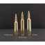 NOSLER TROPHY GRADE LR 26 NOSLER 142GR ABLR 20RD 10BX/CS