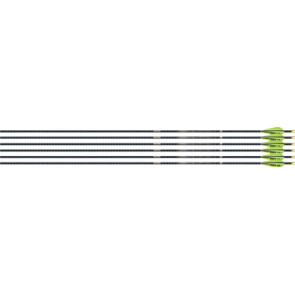 EASTON 4MM EMJ MATCH GRADE 340 6-PACK W/ 3" AAE HYBRID VANES<