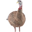 AVIAN X LCD LOOKOUT HEN DECOY