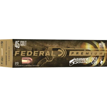 FEDERAL HAMMER DOWN 45 LC 250GR JSP 20RD 10BX/CS