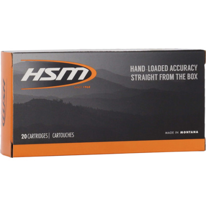 HSM 45-70 GOV 300GR HPFP 20RD 25BX/CS