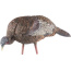 AVIAN X LCD FEEDER HEN DECOY