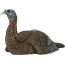 AVIAN X LCD LAYDOWN HEN DECOY