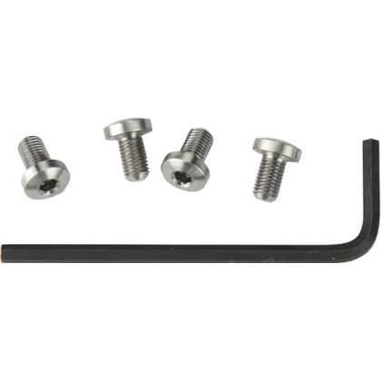 ED BROWN HEX HEAD GRIP SCREWS S/S 4-PACK FOR 1911