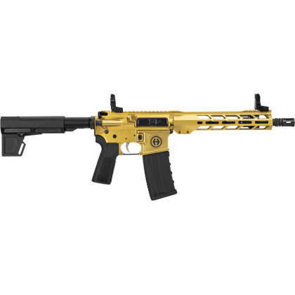 HIPOINT PISTOL HP-15 5.56 10.5" 30RD BLADE BRACE GOLD